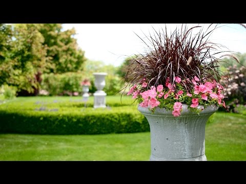 Planting My Backyard Urns