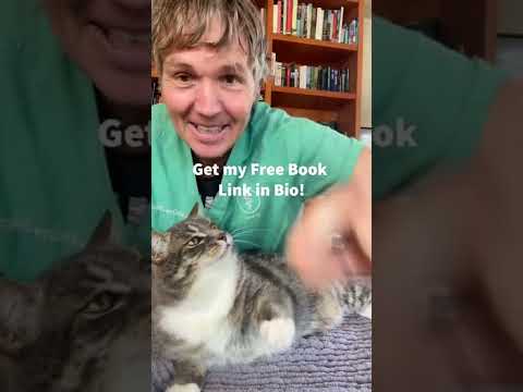 Petting Aggression in Cats