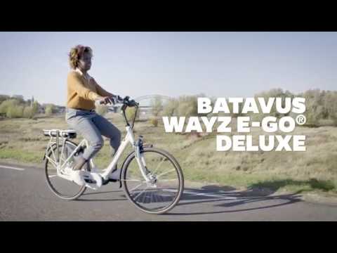 Batavus Wayz E go Deluxe bij Bike Totaal