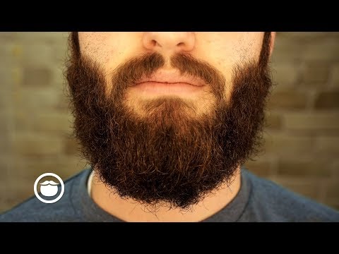 When to Get a Beard Trim | YEARD WEEK 13