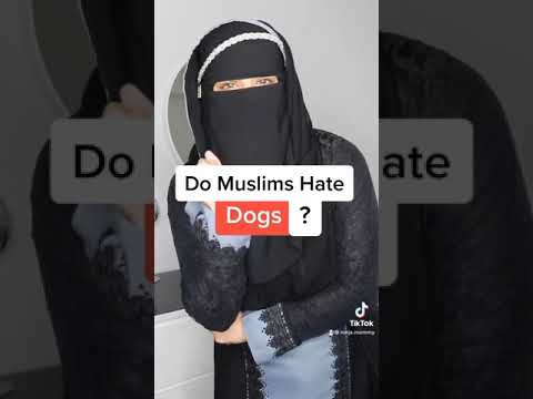 Do Muslims Hate Dogs? #shorts