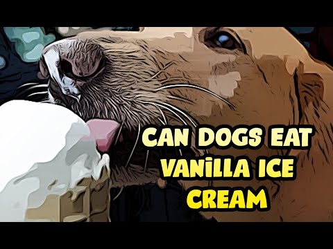 Is Vanilla Ice Cream Bad for Dogs & Puppies to Have?