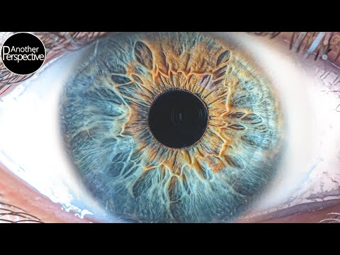 Eye Photography - How to take a professional Picture of your Iris | In-Depth Tutorial