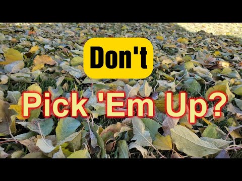 Is It OK To Leave Leaves On The Lawn Over The Winter?