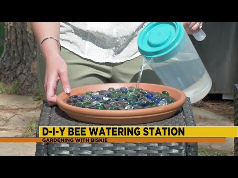 How to make a bee watering station