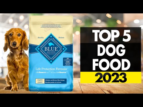 Top 5 - Best Dog Food (2023)