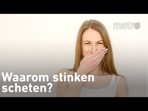 Waarom stinken scheten? | Hoe zit dat?