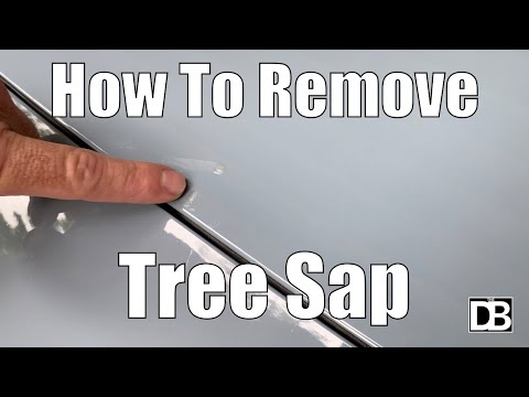 How to quickly remove tree sap from your vehicle | AMAZINGLY EASY! | The Detailing Business