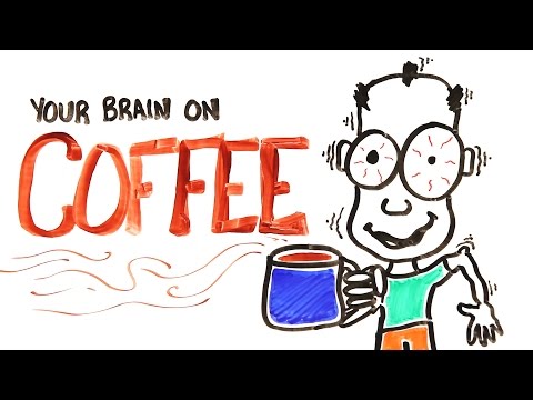 Your Brain On Coffee