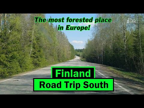 🇫🇮 Finland - Southern Finland - Forest as far as the eye can see!