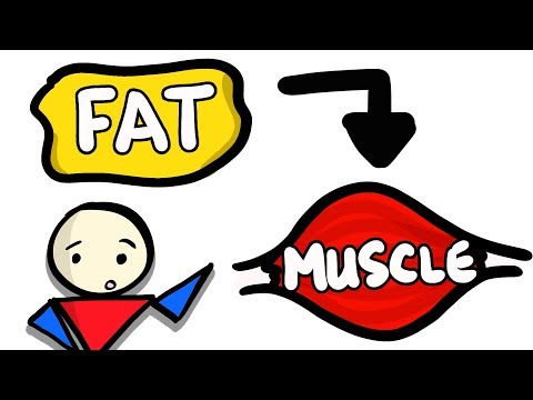 Can You Turn Fat Into Muscle?