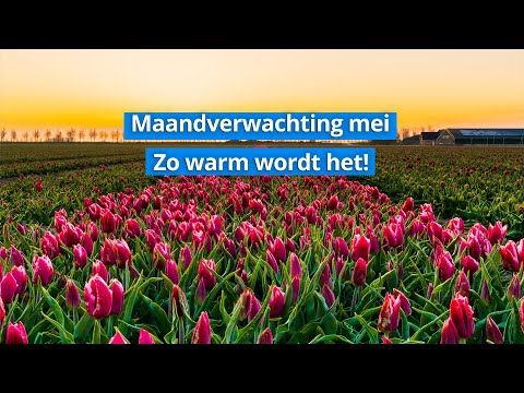 Maandverwachting mei 2021: zo warm wordt het in mei