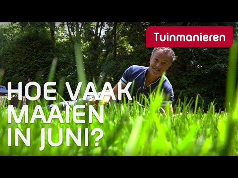 JUNI. Hoe vaak moet je je gazon maaien in juni? Gras tips.