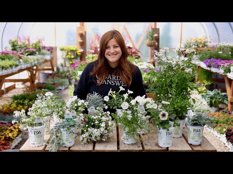 White Blooming Annuals for Our Moon Garden! 🌿🌘✨// Garden Answer